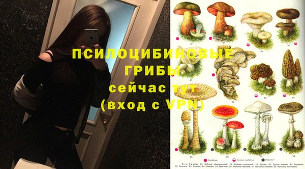 мескалин Надым