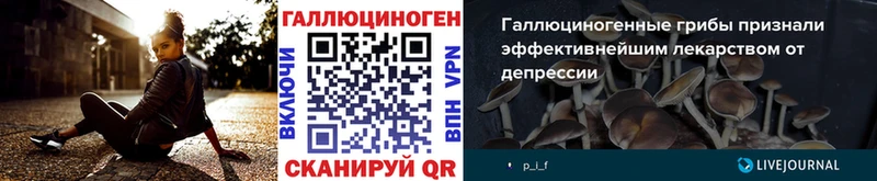 где найти   Ялта  Галлюциногенные грибы Cubensis 